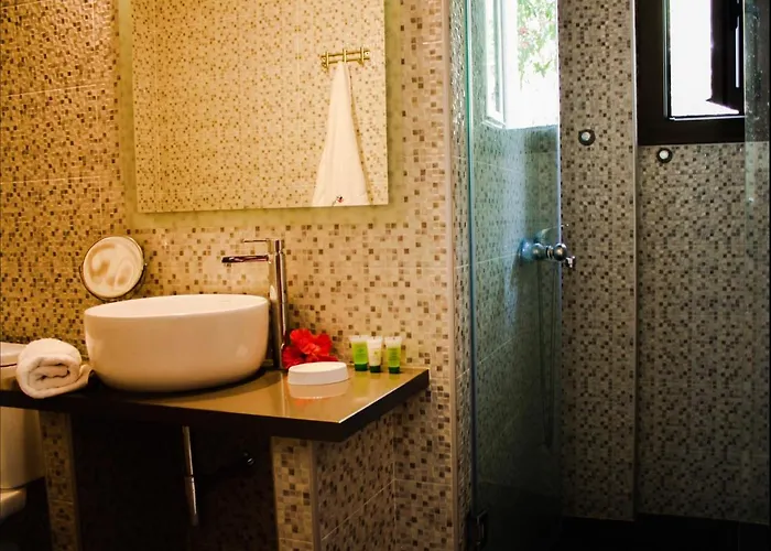 Vicky 3* Hersonissos (Crete)