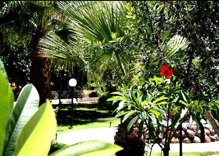 Vicky 3* Hersonissos (Crete)