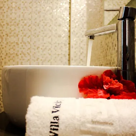 Апарт-отель Vicky Херсониссос