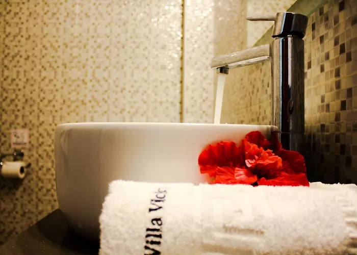 Lägenhetshotell Vicky Hersonissos (Crete)