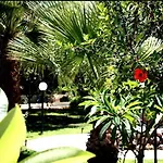 Vicky 3* Hersonissos (Crete)