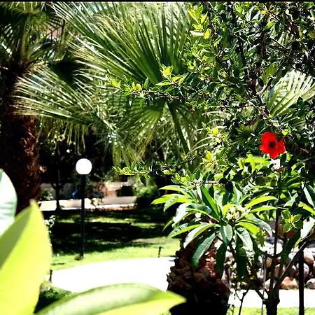 Vicky 3* Hersonissos (Crete)